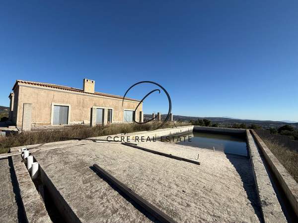 תמונת אורופוס, אתונה למכירה