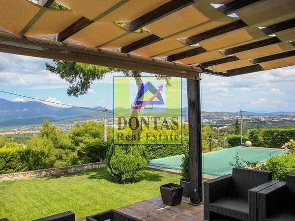 תמונת קיפיסיה, אתונה למכירה (1)