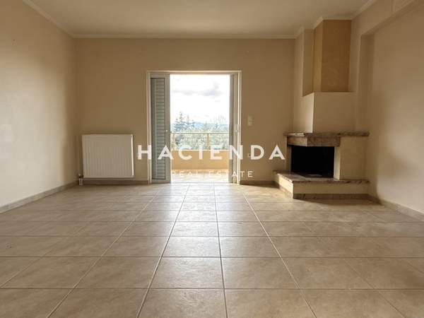 תמונת מתמרפוסי סוטירוס, פטרס למכירה (0)