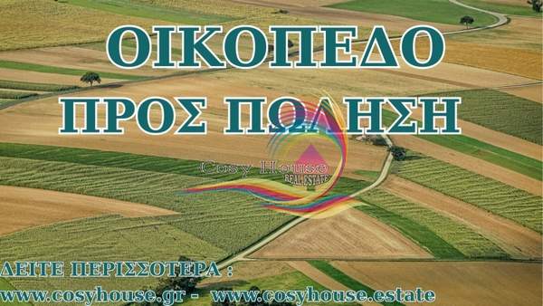 תמונת סרוניקוס, אתונה למכירה (0)