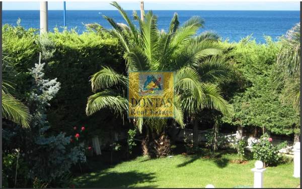 תמונת סרוניקוס, אתונה למכירה (1)