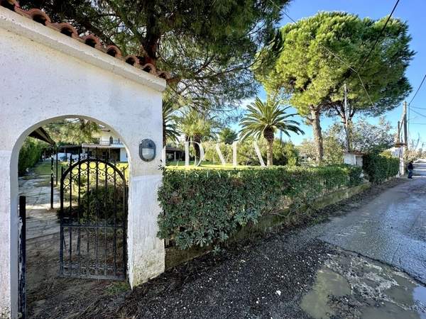 תמונת קסנדרה, כלקידיקי למכירה (0)