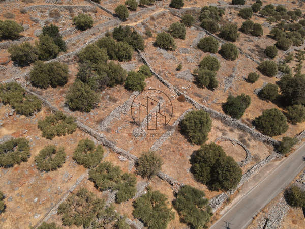 תמונת אגיוס ניקולאוס , כרתים למכירה (1)