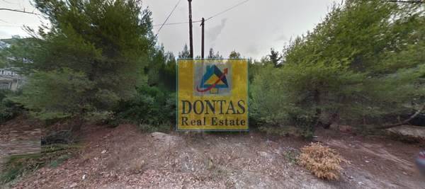 תמונת דיוניסוס למכירה (0)