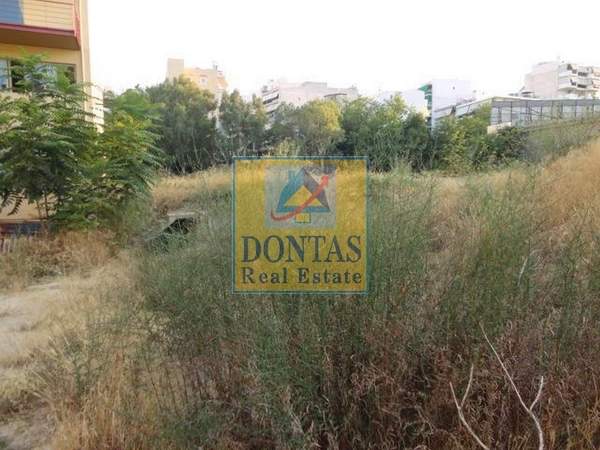 תמונת נאה איונה למכירה (0)