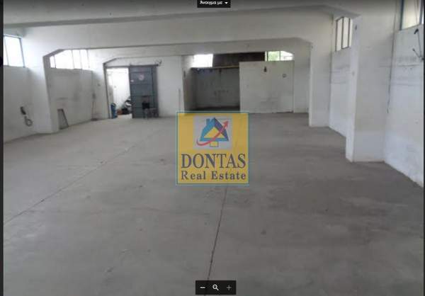 תמונת אכרניס למכירה (0)