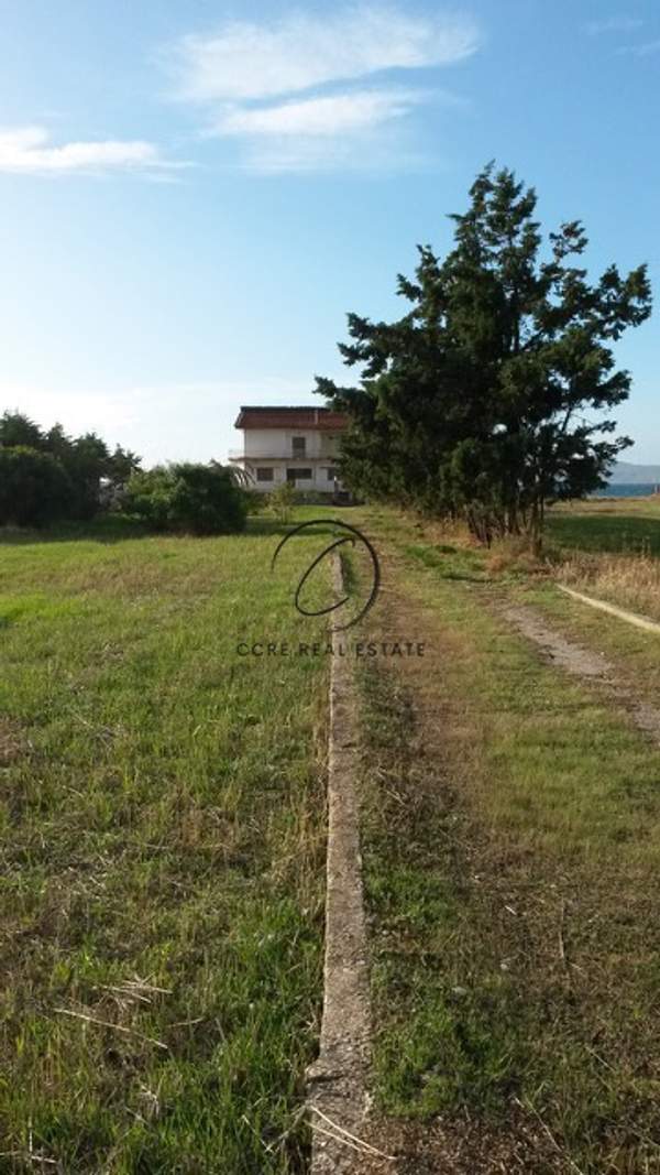 תמונת לוטראקי, פלופונס למכירה (0)