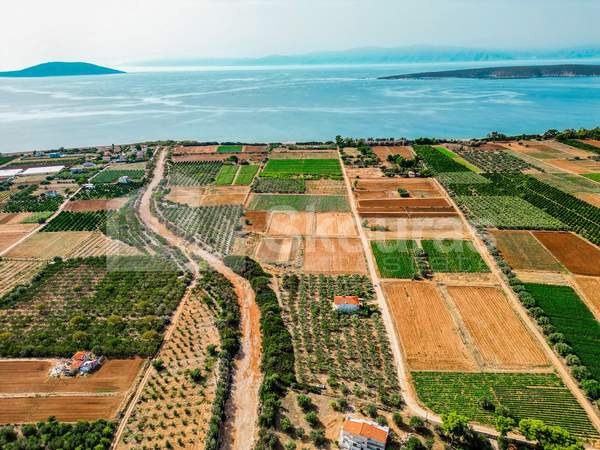 תמונת נאפפליו, פלופונס למכירה (1)