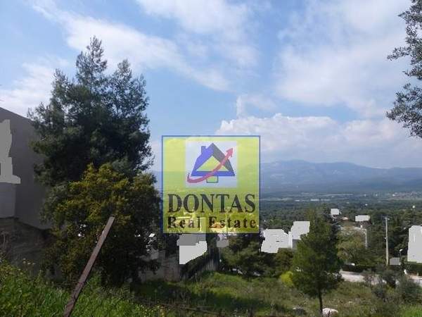 תמונת דיוניסוס למכירה (0)