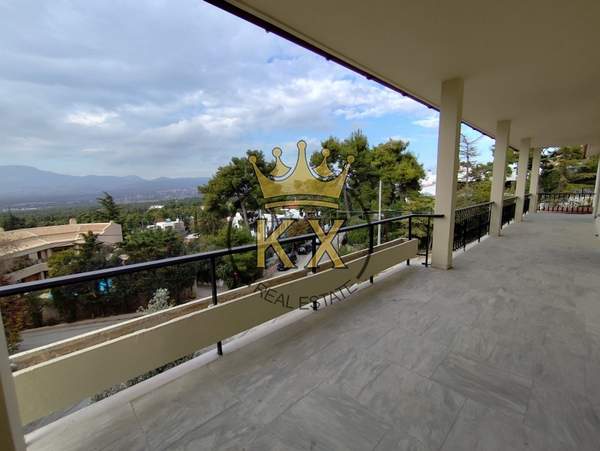 תמונת קיפיסיה, אתונה למכירה (0)