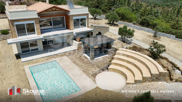 תמונת פילוס ונסטור למכירה