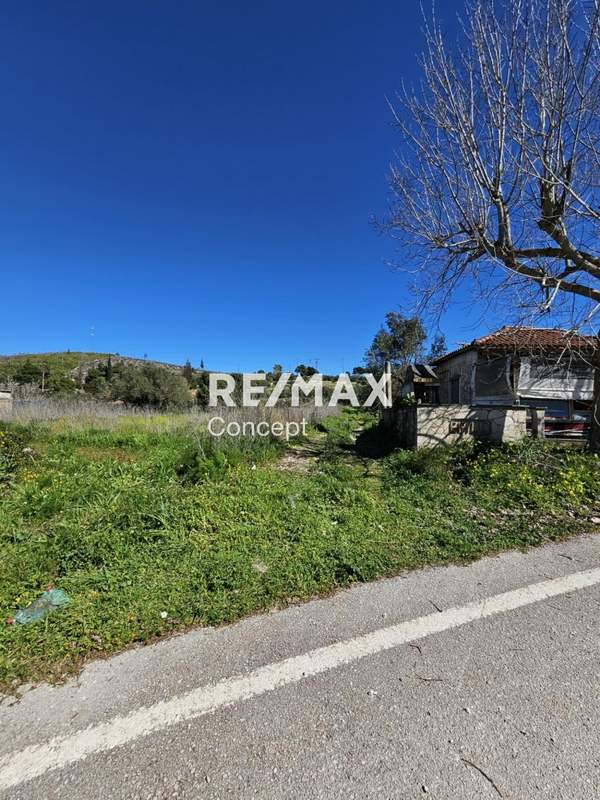 תמונת רשות מקומית זקינתוס למכירה