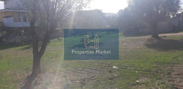 תמונת אנאוויסוס, סרוניקוס, אתונה למכירה