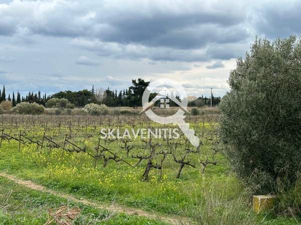 תמונת ספטה ארטמידה, אתונה למכירה (1)