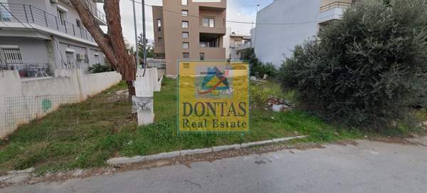 תמונת נאה קיפיסיה, קיפיסיה למכירה (1)