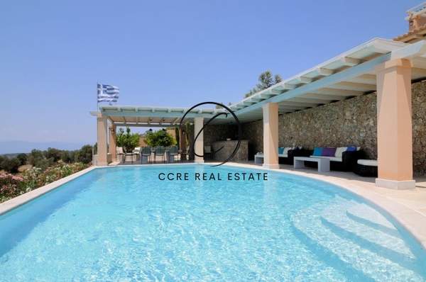 תמונת ארמיונידה למכירה (0)