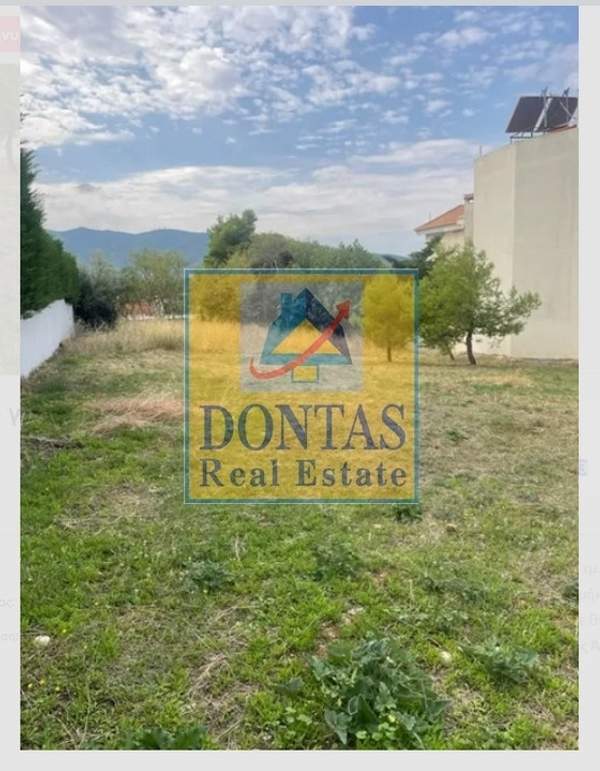 תמונת דיוניסוס למכירה (0)