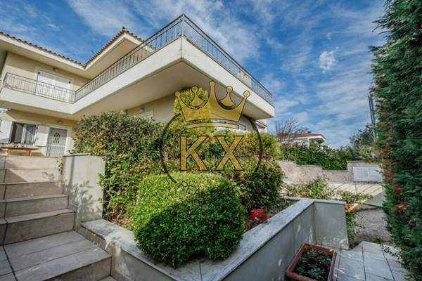 תמונת קיפיסיה למכירה (0)