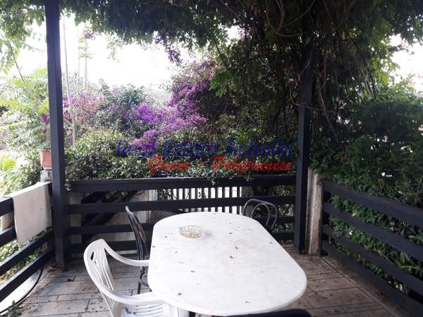 תמונת איגאליאה, פלופונס למכירה (1)