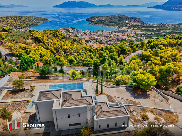 תמונת אפידברוס למכירה (1)