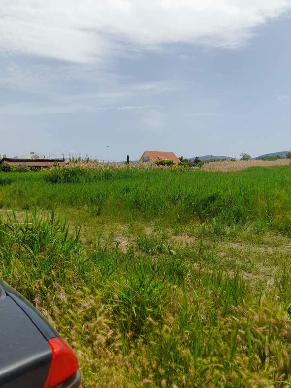 תמונת אורופוס, אתונה למכירה (0)