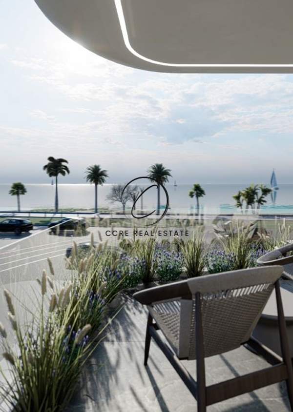 תמונת פאליו פאלירו למכירה (1)