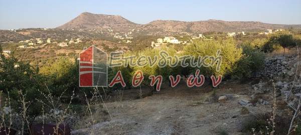 תמונת אפוקורנס, כרתים למכירה (1)