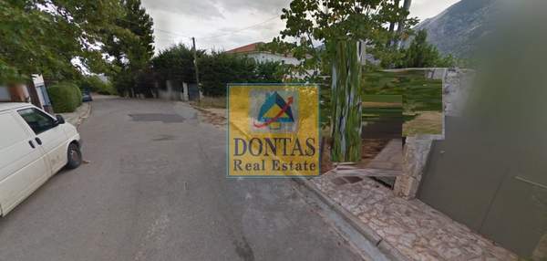 תמונת דיוניסוס למכירה (1)