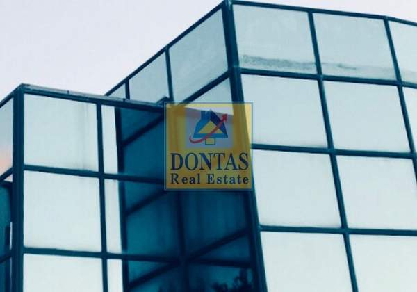 תמונת דיוניסוס למכירה (0)