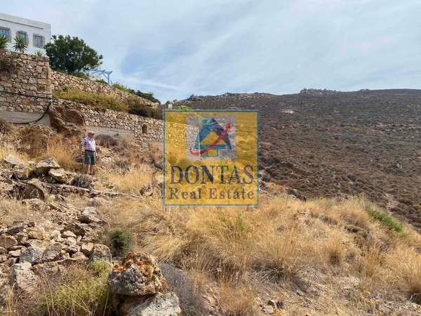 תמונת פטמוס, הדודקאנסיים למכירה (1)