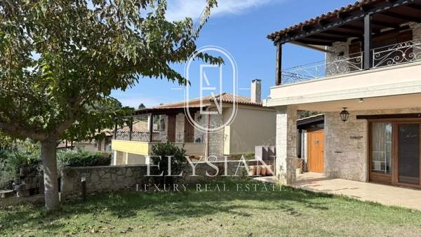 תמונת קסנדרה, כלקידיקי למכירה (1)