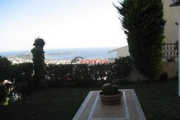 תמונת וולה, וארי - וולה -ווליאגמני, אתונה למכירה (0)