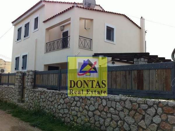 תמונת ארמיונידה, פלופונס למכירה (0)