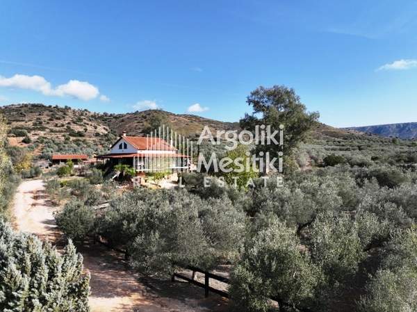 תמונת נאפפליו למכירה