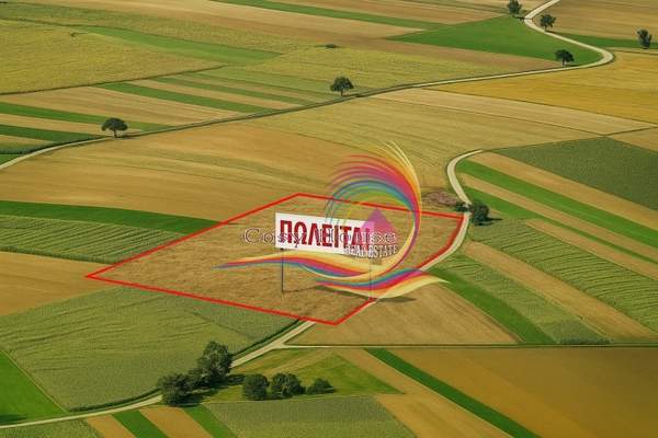 תמונת גליפדה, אתונה למכירה (0)