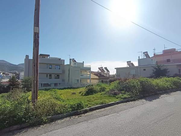 תמונת אלימוס למכירה (0)