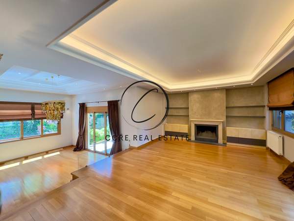 תמונת דיוניסוס למכירה (1)