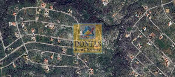 תמונת אורופוס למכירה (1)