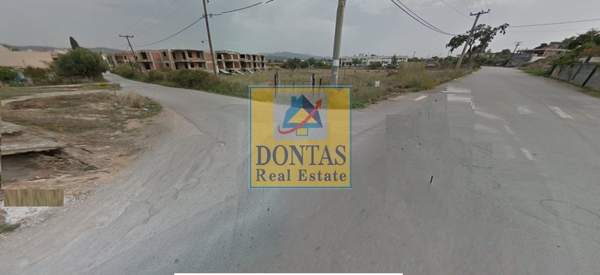 תמונת כלקיס (צפון) למכירה (0)