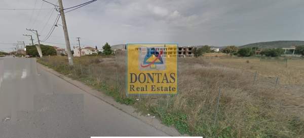 תמונת כלקיס (צפון) למכירה (1)