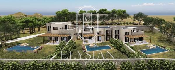 תמונת קסנדרה, כלקידיקי למכירה (0)