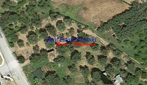 תמונת איגאליאה, פלופונס למכירה (0)