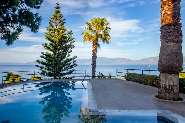 תמונת לורקוי למכירה (0)