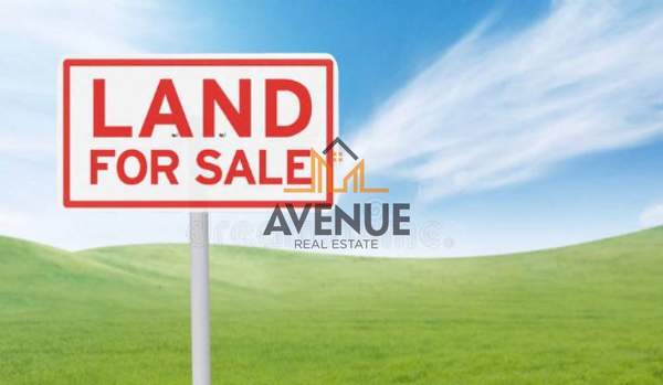 תמונת קסנדרה, כלקידיקי למכירה