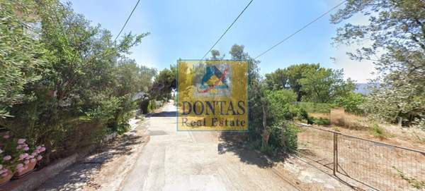 תמונת קיפיסיה, אתונה למכירה (1)