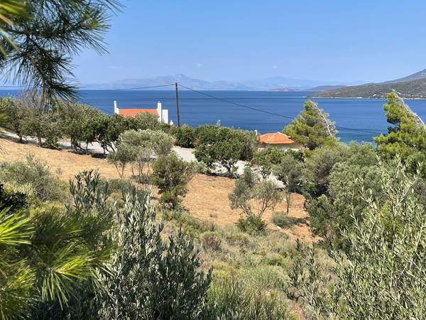 תמונת קאריסטוס למכירה (1)