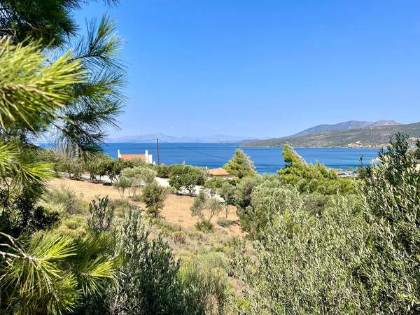 תמונת קאריסטוס למכירה (0)