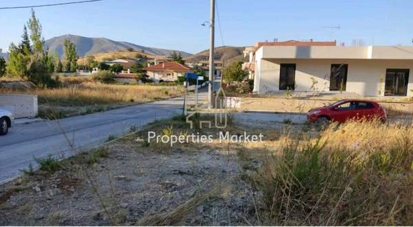 תמונת לאבראוטיקי למכירה (0)