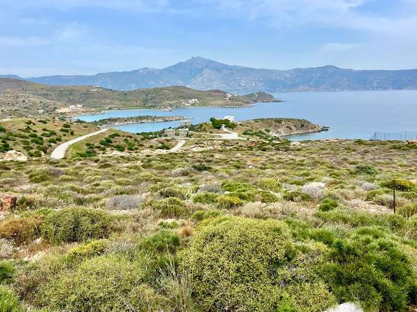 תמונת קאריסטוס למכירה (0)