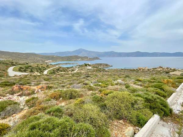 תמונת קאריסטוס למכירה (1)